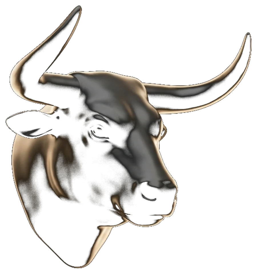 The BGS bull as a 3D model on a dark stage